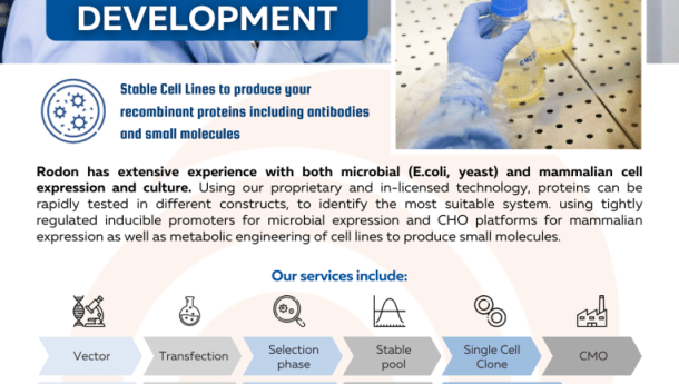 Flyer_Cell_Line_development_Rodon_Biologics